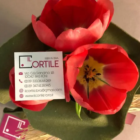 Il Vecchio Cortile Bra